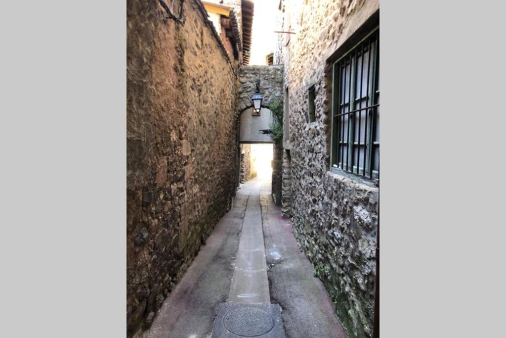 Les Maisons Du Conflent, Maisons Familiales En Pierre Au Coeur Des Remparts Вильфранш-де-Конфлан Экстерьер фото